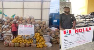 2 drug kingpins jailed for 10 years Drug kingpins
