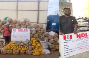 2 drug kingpins jailed for 10 years Drug kingpins