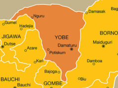 Man killed during turbaning ceremony in Yobe