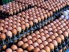 Egg sellers blame transport costs for price hike