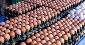 Egg sellers blame transport costs for price hike