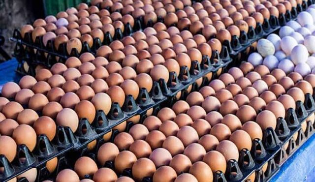 Egg sellers blame transport costs for price hike
