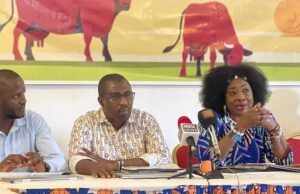 Antibiotic resistance could claim 10m lives annually by 2050 – WAP