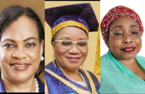 Ex-senator, former VC, PR expert endorse Dakuku Peterside’s “Leading in a Storm”