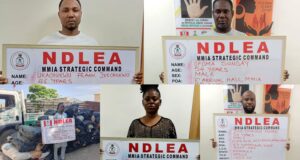 NDLEA arrests Brazil returnees, businesswoman, others in major drug busts across states
