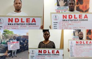 NDLEA arrests Brazil returnees, businesswoman, others in major drug busts across states
