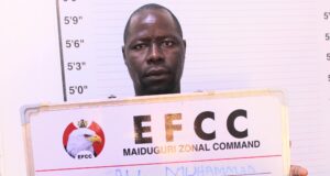 Court remands man over ₦9m petroleum scam in Maiduguri
