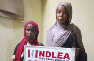 NDLEA arrests 3 bandit drug suppliers in Borno, Yobe NDLEA