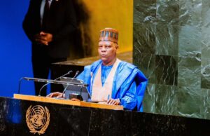 Nigeria demands permanent seat at UN security council Nigeria