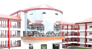 ABUAD hospital records maternal health milestone as 60-year-old woman delivers healthy babies