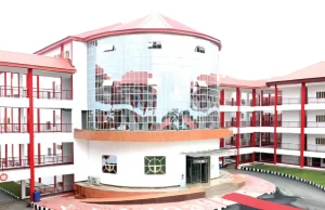 ABUAD hospital records maternal health milestone as 60-year-old woman delivers healthy babies