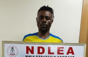 NDLEA intercepts Qatar-bound drugs hidden in crayfish at Lagos airport NDLEA