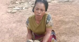 Female kidnapper nabbed in Taraba after ₦1.5m ransom deal