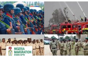 CDCFIB releases list of shortlisted candidates for Immigration, Fire Service, NCoS, NSCDC jobs