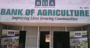 BOA, IOM launch $200m fund to support displaced Nigerians