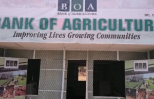 BOA, IOM launch $200m fund to support displaced Nigerians