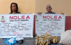 Grandpa, grandma arrested for drug peddling