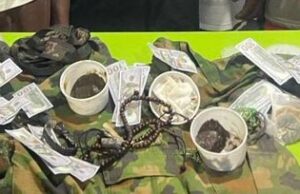 Police arrest 8 cultists in Lagos, recover fake military uniform, $3,000 Police