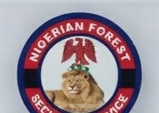 How we aided police in arrest of Abuja robbery gang linked to Arise News staff killing – NFSS
