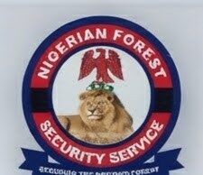 How we aided police in arrest of Abuja robbery gang linked to Arise News staff killing – NFSS