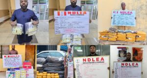 NDLEA nabs drug lord with 127 cocaine wraps, foils multiple drug shipments abroad