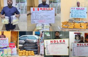 NDLEA nabs drug lord with 127 cocaine wraps, foils multiple drug shipments abroad