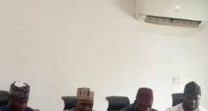 Northern groups warn against pro-Kanu protests