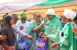 Wike unveils free mother-baby kits, Abuja breathe fresh air project Abuja