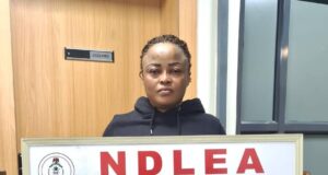 NDLEA intercepts US, UK-bound drugs hidden in snails, bulbs NDLEA