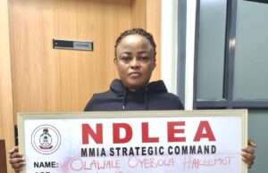 NDLEA intercepts US, UK-bound drugs hidden in snails, bulbs NDLEA