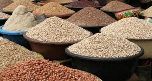 Nigerian farmers decry falling food prices despite bumper harvests