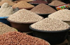 Nigerian farmers decry falling food prices despite bumper harvests