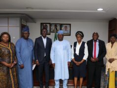 Zambia criticises occult themes in Nollywood, seeks to learn from Nigeria’s values charter