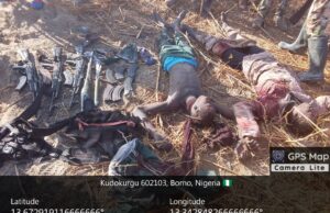 Troops repel ISWAP attack in Malam Fatori