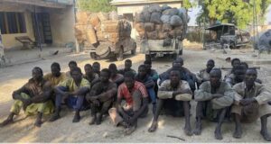 22 terrorist suppliers arrested in Mafa as troops seize smoked fish consignment