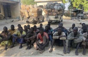 22 terrorist suppliers arrested in Mafa as troops seize smoked fish consignment