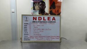 NDLEA