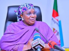 Gender inclusion key to stronger health systems — Kaduna Dep Gov