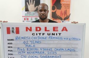 NDLEA arrests drug baron, recovers cash, cannabis shipment in Lagos