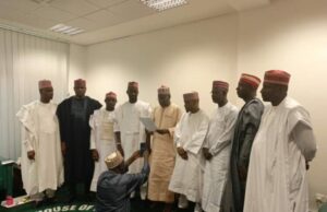 13 NNPP Reps dismiss defection rumours, reaffirm loyalty to party