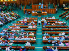 Reps push to regulate herbal medicines in Nigeria