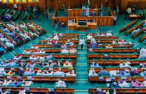 Reps summon FCT council chairmen over N100bn audit infractions