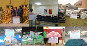 NDLEA uncovers colos lab in Lagos, arrests musician over drug imports