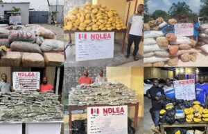 Drug cartels hit hard as NDLEA executes multi-state raids