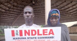 NDLEA intercepts drugs hidden in teddy bear, arrests couple with live ammunition NDLEA