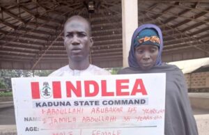 NDLEA intercepts drugs hidden in teddy bear, arrests couple with live ammunition NDLEA