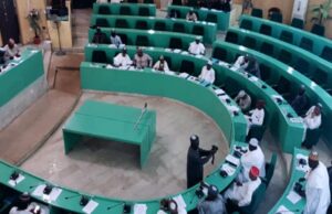 Kano assembly pushes for Hausa language as medium of instruction in schools