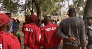 NDLEA reckless shooting injures youth in Ngurore