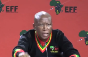 VIDEO: If America blocks me, I’ll go to Nigeria for jollof — Malema