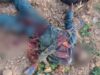 Troops kill Bello Turji’s ally, Kallamu, in Sokoto Troops